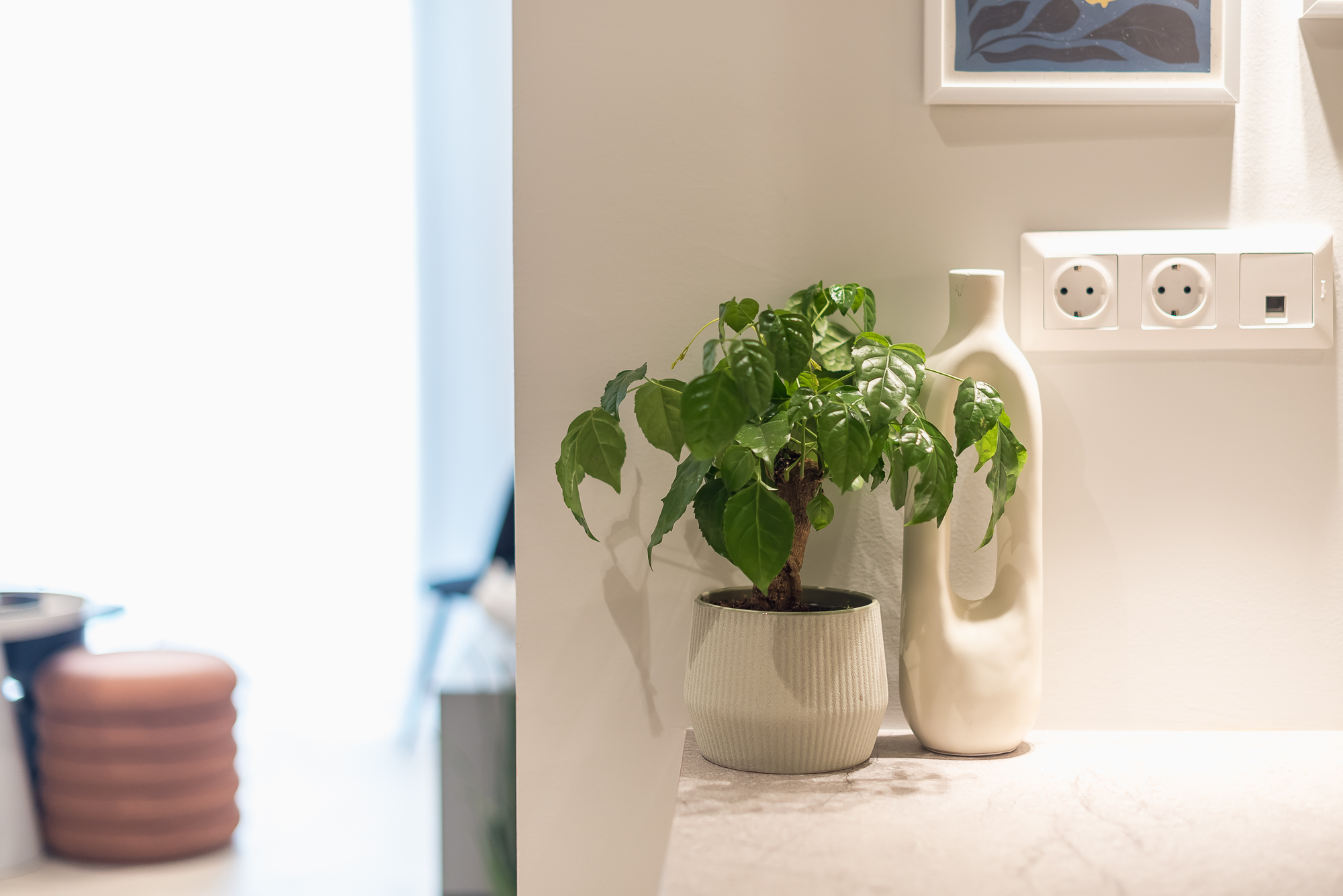 Exclusive Suite - argolidos3 (argo3)